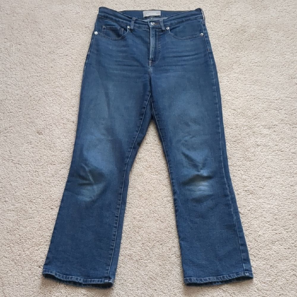 Everlane Authentic Stretch Slim Boot Cut Jean Size 27